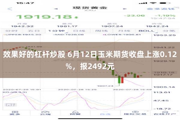 效果好的杠杆炒股 6月12日玉米期货收盘上涨0.12%，报2492元