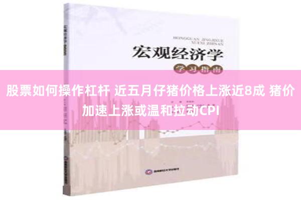 股票如何操作杠杆 近五月仔猪价格上涨近8成 猪价加速上涨或温和拉动CPI