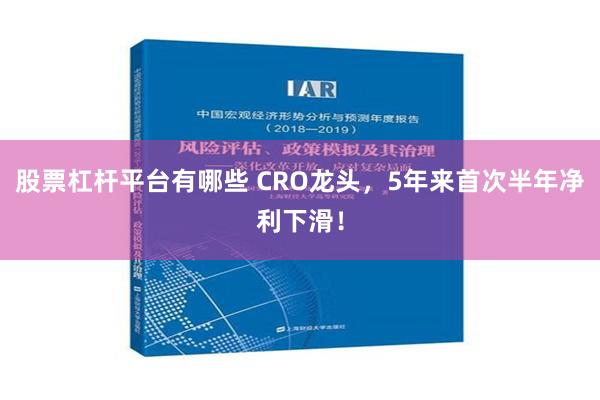 股票杠杆平台有哪些 CRO龙头，5年来首次半年净利下滑！