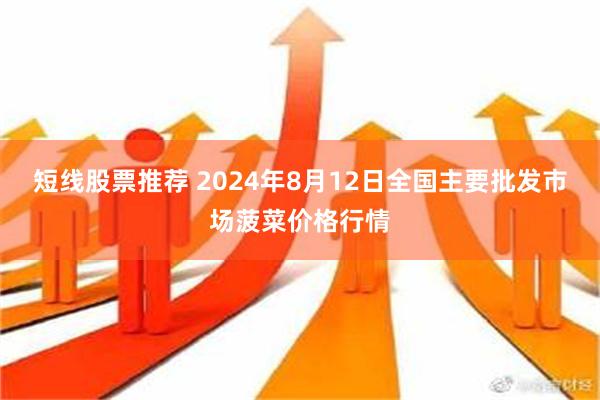 短线股票推荐 2024年8月12日全国主要批发市场菠菜价格行情