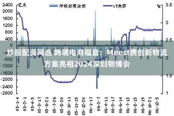 炒股配资网选 跨境电商福音：Meest携创新物流方案亮相2024深圳物博会