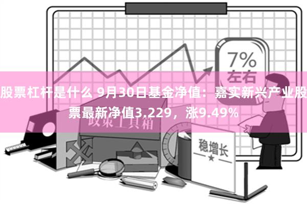 股票杠杆是什么 9月30日基金净值：嘉实新兴产业股票最新净值3.229，涨9.49%