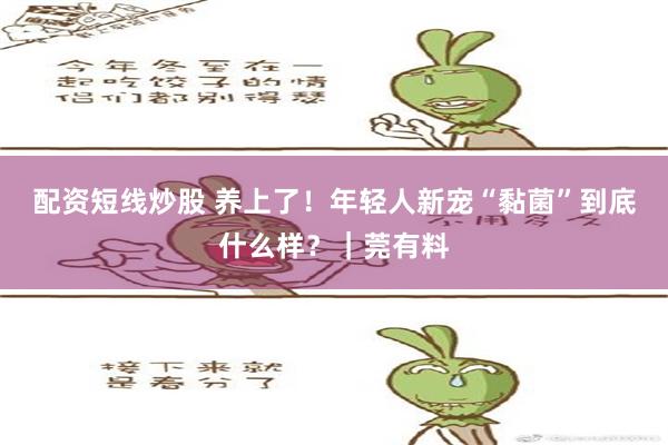 配资短线炒股 养上了！年轻人新宠“黏菌”到底什么样？｜莞有料