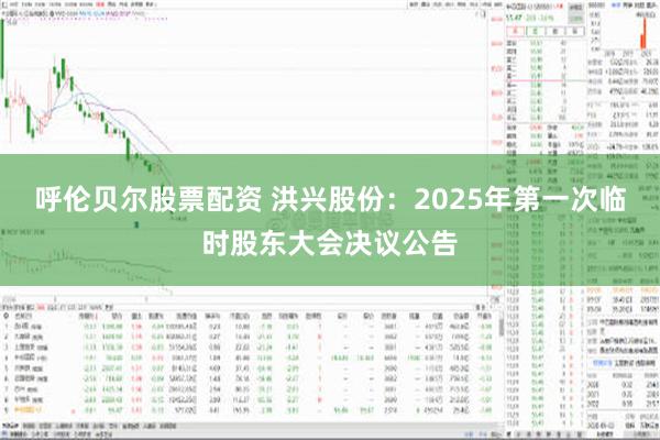 呼伦贝尔股票配资 洪兴股份：2025年第一次临时股东大会决议公告